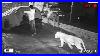 55 Incredible Moments Caught On Cctv Camera